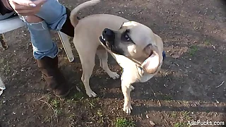 1435 porn porn videos